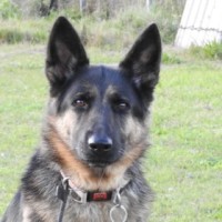 Photo of Bessy