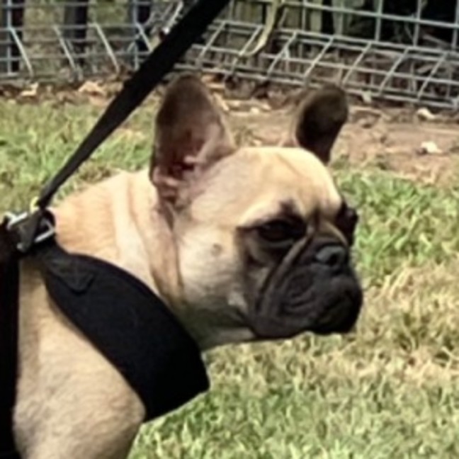 Photo of Chanel
