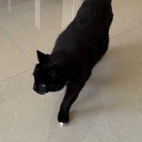 Photo of Snowy