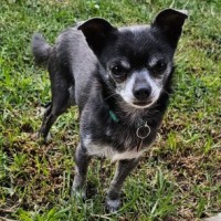 Photo of Chiquita & Alejandro