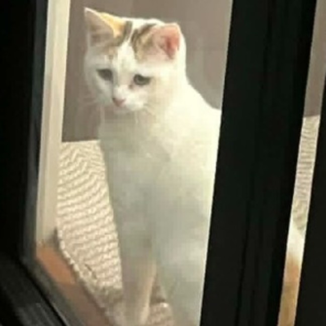Photo of Polly