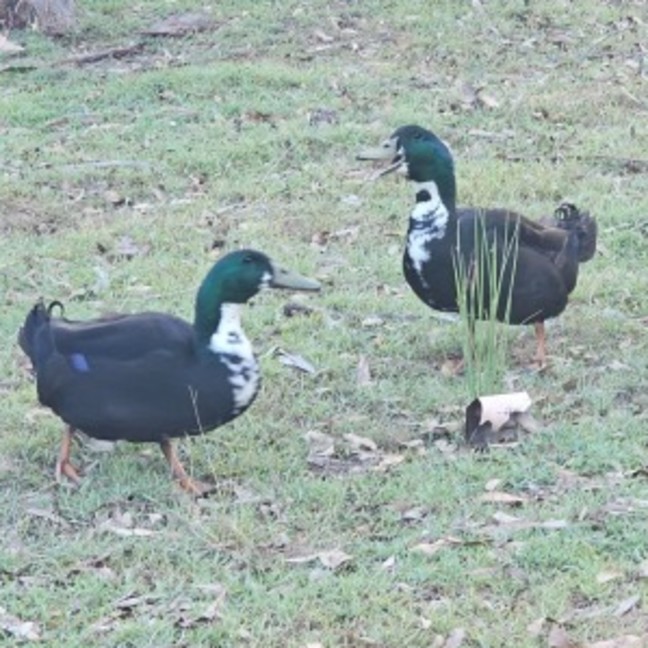 Photo of Kevin And Keith