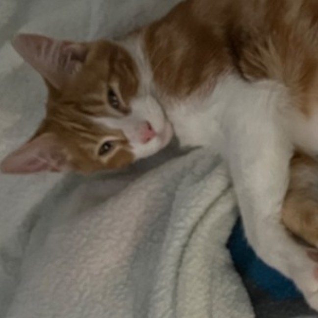 Photo of Jasper