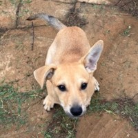 Photo of Spice