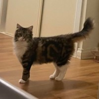 Photo of Cha Cha And Mia