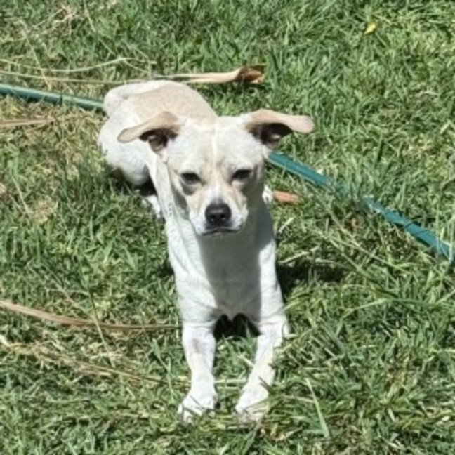 Photo of 🌮 Taco 🌮 