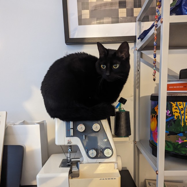 Photo of Chara