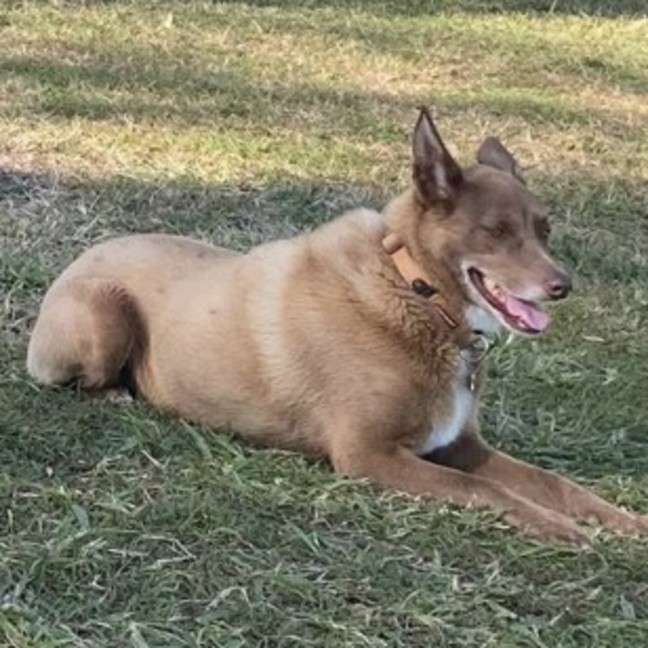 Photo of Pokie