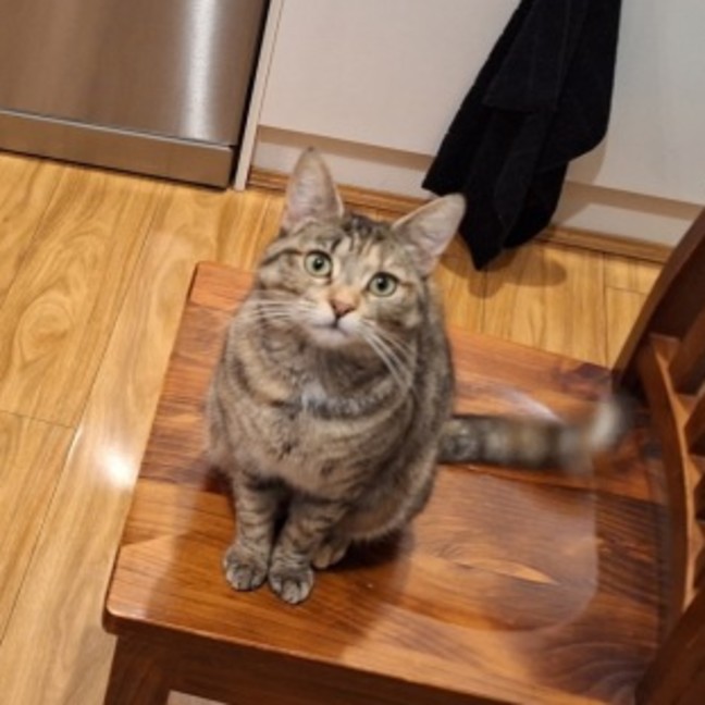 Photo of Sabrina Spellman