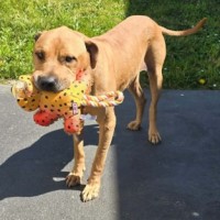Photo of Jasper