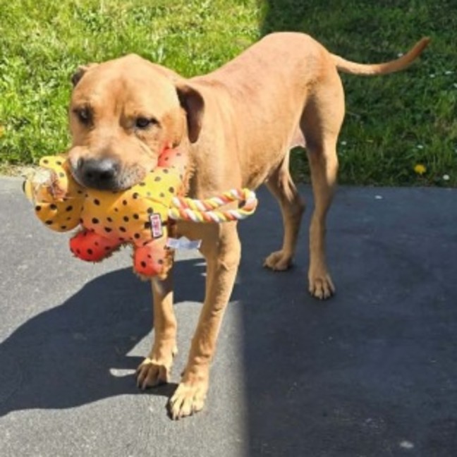 Photo of Jasper