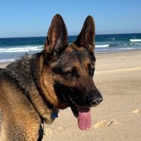 Photo of Max