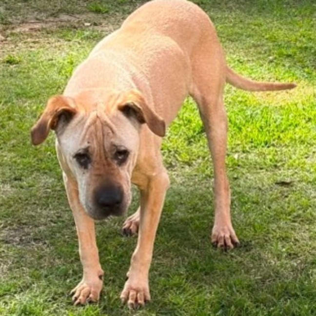 Photo of Gladys