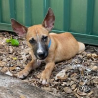 Photo of Max