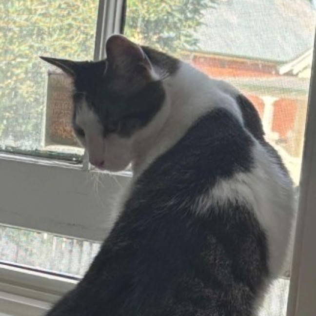 Photo of Bucket