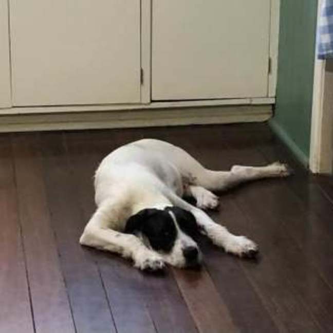 Photo of Winnie