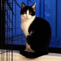 Photo of Wilhelmina (Wilma)