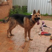 Photo of Odin