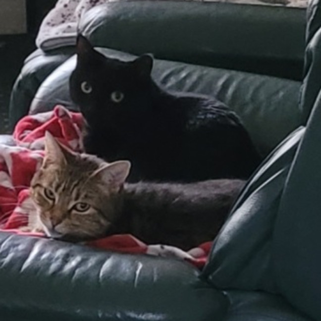 Photo of Sara & Marley