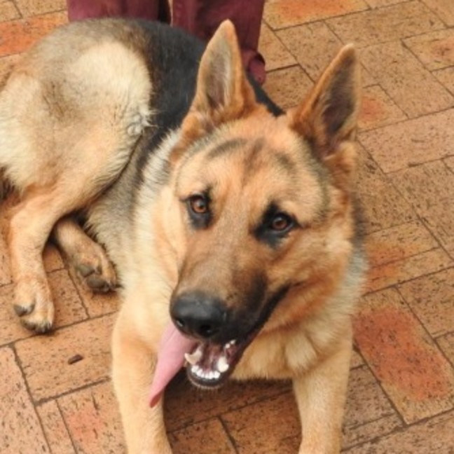 Photo of Odin