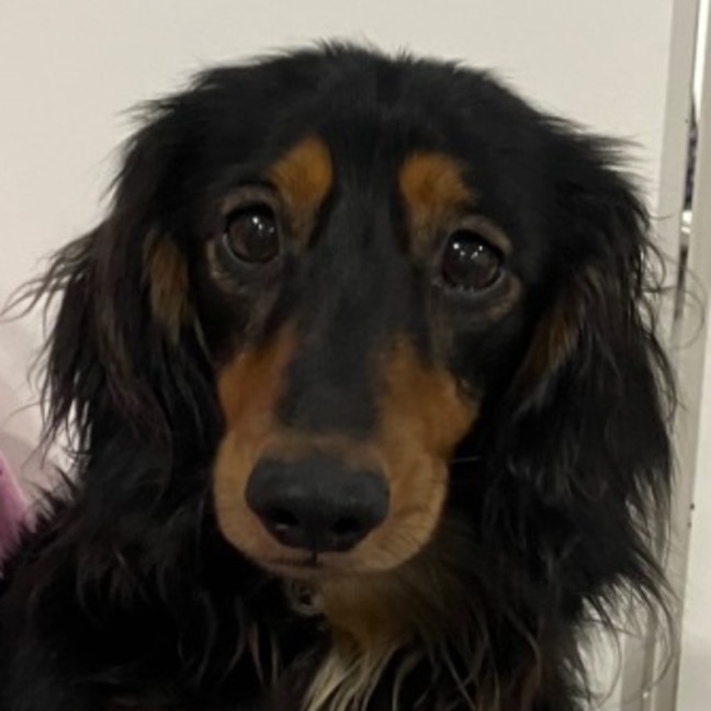 Photo of Xavier 