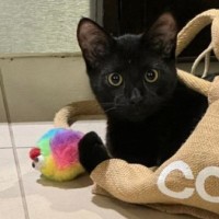 Photo of Jonah