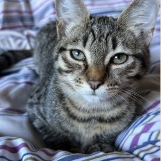 Photo of Poppy And Precious