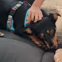 Photo of Derpy
