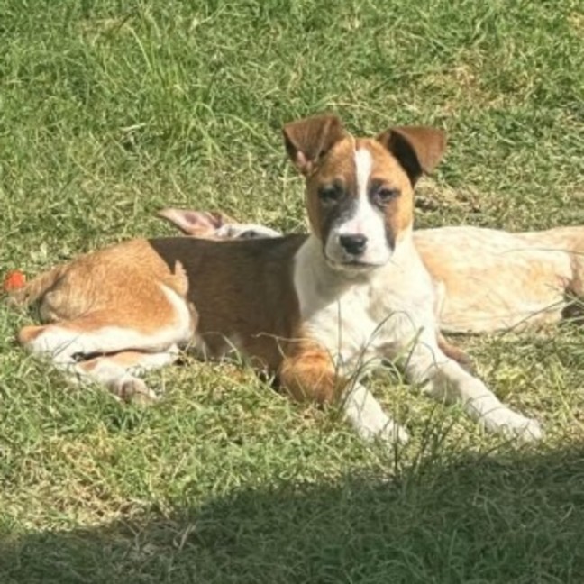 Photo of Spice
