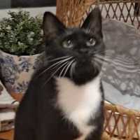 Photo of Mitzy