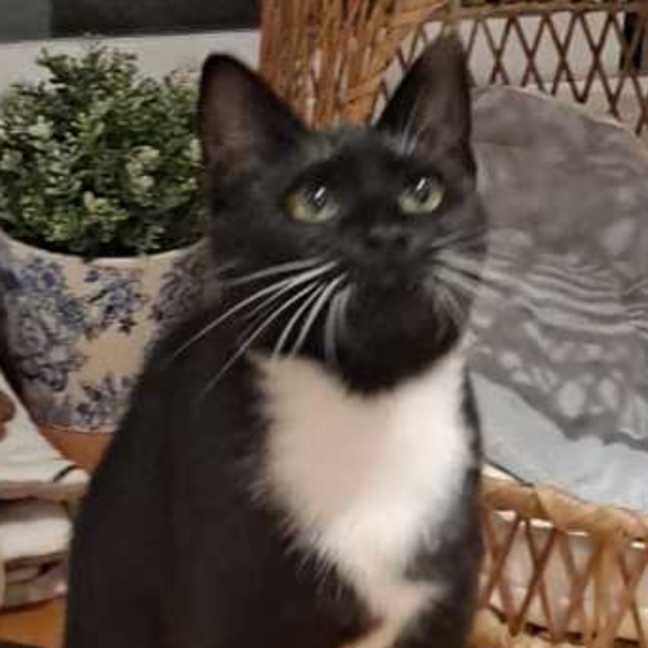 Photo of Mitzy
