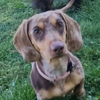 Photo of Dottie