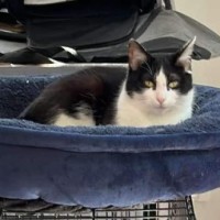 Photo of Wilhelmina (Wilma)