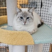 Photo of Snowy