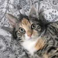 Photo of Cleopatra