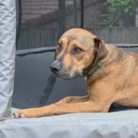 Photo of Barnie   Swarley 