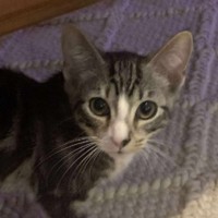 Photo of Calvin