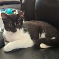 Photo of Milly