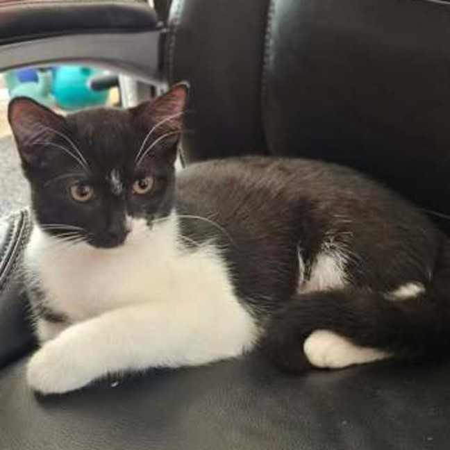 Photo of Milly