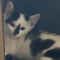 Photo of Skittles 🌈