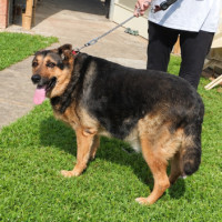 Photo of Duke