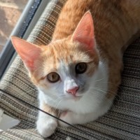 Photo of Ricette (Ricky)