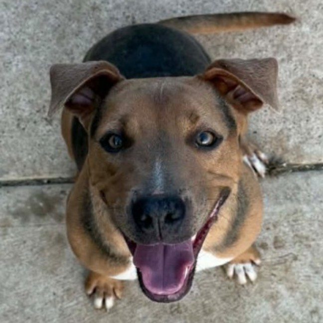 Photo of Jobe