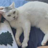Photo of Arya