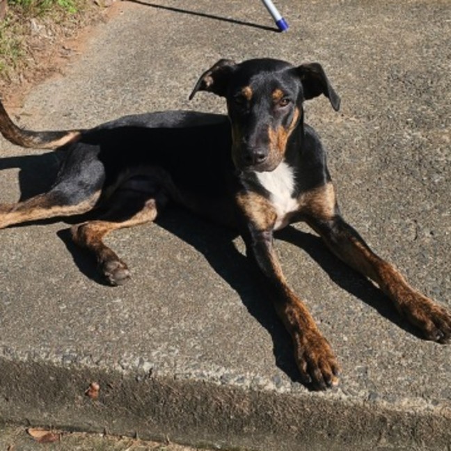 Photo of Maxy