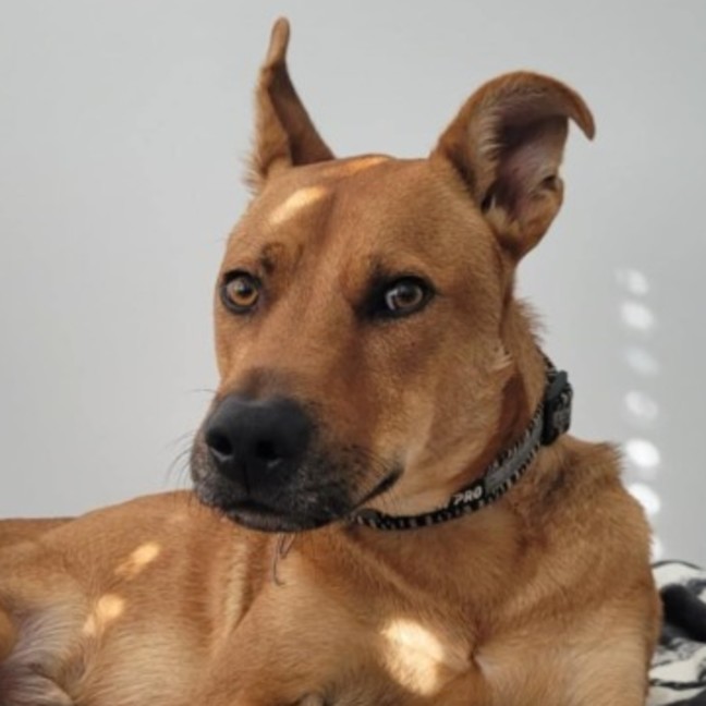 Photo of Flynn