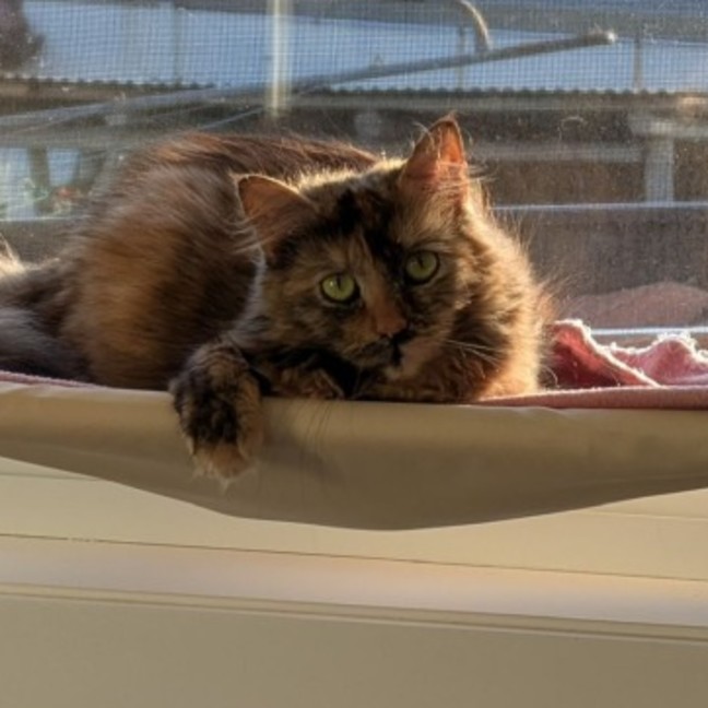 Photo of Agatha