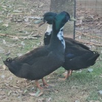 Photo of Kevin And Keith