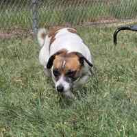 Photo of Skittles