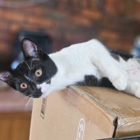 Photo of Milly